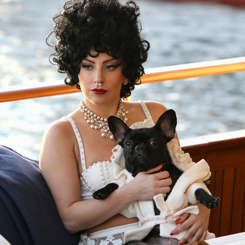 Леди Гага с собачкой