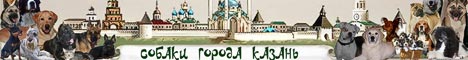 Форум «Собаки города Казань» и их Друзья