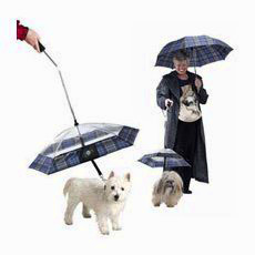 Зонтик-поводок для собак