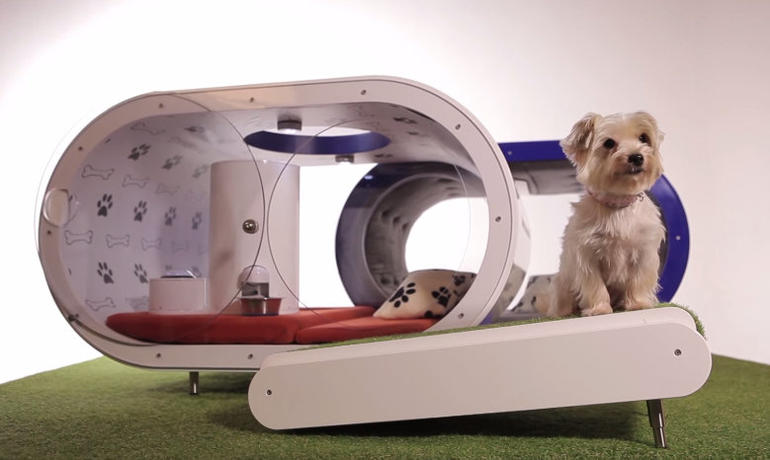 Dream Dog House - элитная будка для собаки от Samsung