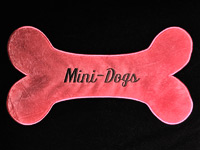 Самая крохотная служебная собака - Йоркширский терьер дарит любовь и радость людям! - Новости маленьких собачек Mini-Dogs